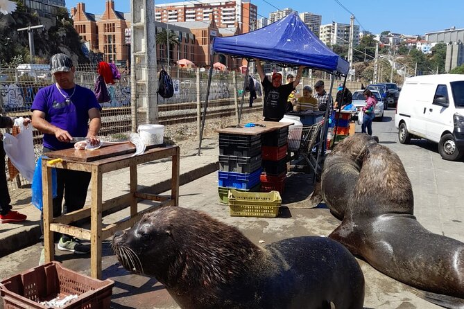 Post-Cruise Valparaíso & Viña del Mar Tour to Santiago 4-Pax Deal - Turning a Cruise Stop Into a Full Chile Day