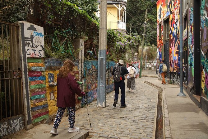 Post-Cruise Valparaíso & Viña del Mar Tour to Santiago 4-Pax Deal - Comfort, Timing, and Communication: The Stuff That Can Make or Break It