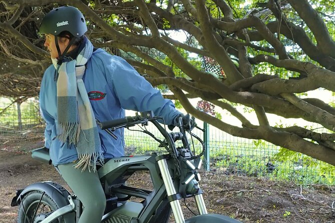 Premium Electric Segway Rentals in Punta Arenas - The value of paying for speed and coverage