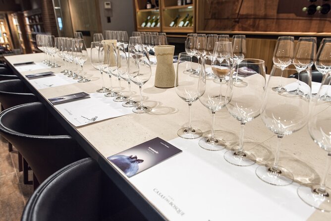 Premium Wine Tasting and Private Transport to Casas del Bosque - Key Things You’ll Notice on This Tour