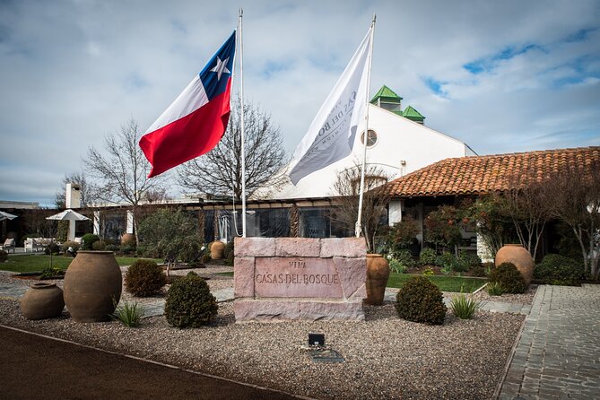 Premium Wine Tasting and Private Transport to Casas del Bosque - Casablanca Valley, Santiago, and the Timing That Makes It Work