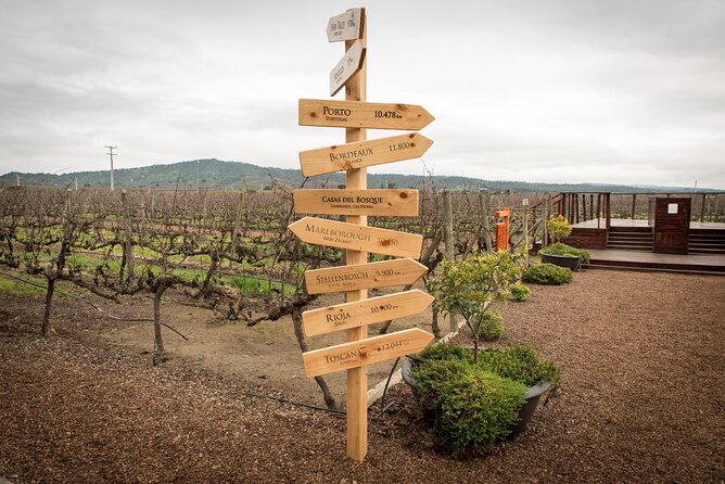 Premium Wine Tasting and Private Transport to Casas del Bosque - Who This Tour Suits Best (And Who Might Want Another Option)