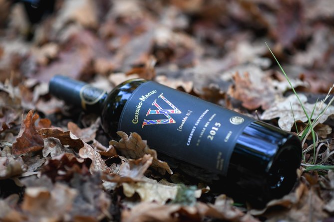 "Premium Wine Tour" Viña Cousiño Macul Official english - Key highlights you will feel right away