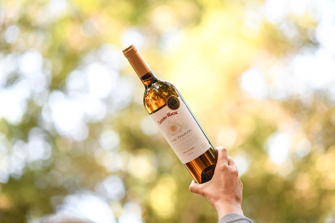 "Premium Wine Tour" Viña Cousiño Macul Official english - Guides matter here, and the reviews name names