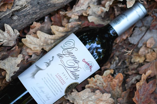 "Premium Wine Tour" Viña Cousiño Macul Official english - Getting there from central Santiago, without losing your whole day