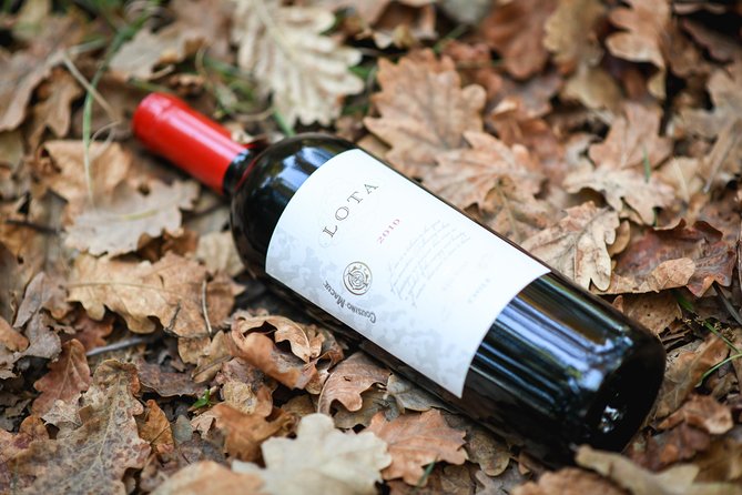 "Premium Wine Tour" Viña Cousiño Macul Official english - Weather, timing, and how to plan your afternoon