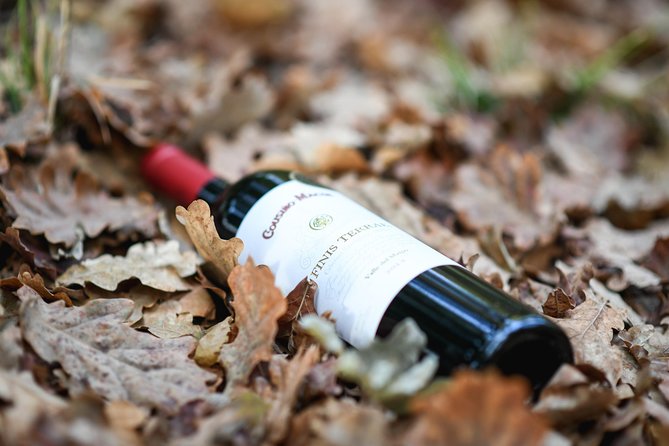 "Premium Wine Tour" Viña Cousiño Macul Official english - Who this tour is best for (and who should look elsewhere)