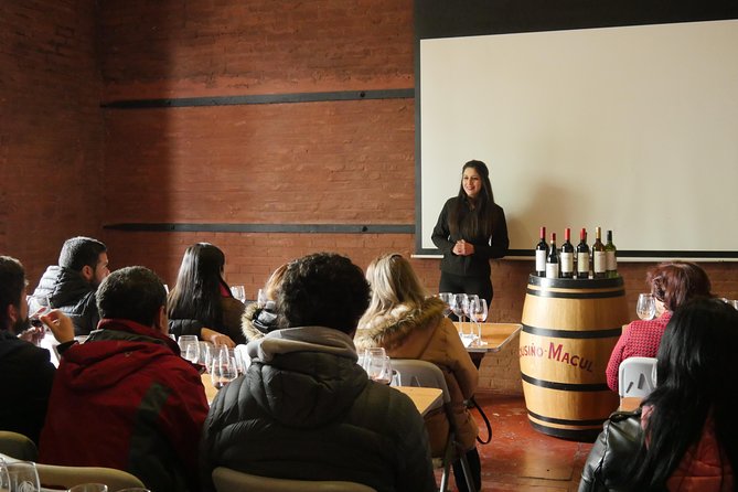 "Premium Wine Tour" Viña Cousiño Macul Official english - Premium tasting: what you get from the three-wine lineup