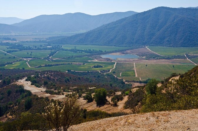Private Casa Blanca Valley Wine Experience from Santiago - Key things to know before you go