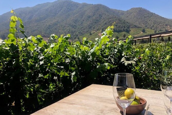 Private Chilean Wine Route Colchagua Valley Day Trip - Key Points Worth Knowing Before You Go