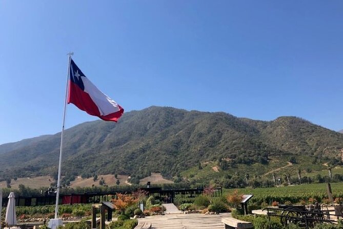 Private Chilean Wine Route Colchagua Valley Day Trip - How Viña Montes Builds a Wine Tour, Not Just a Tasting