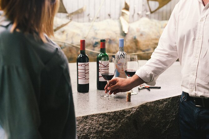 Private Colchagua VIK and Montes Wineries Experience - Colchagua Valley from Santiago: why this long drive pays off