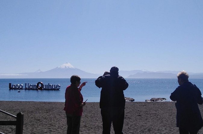 Private Day Tour Frutillar, Puerto Varas and Puerto Montt - The guide factor: English explanations and personal attention matter