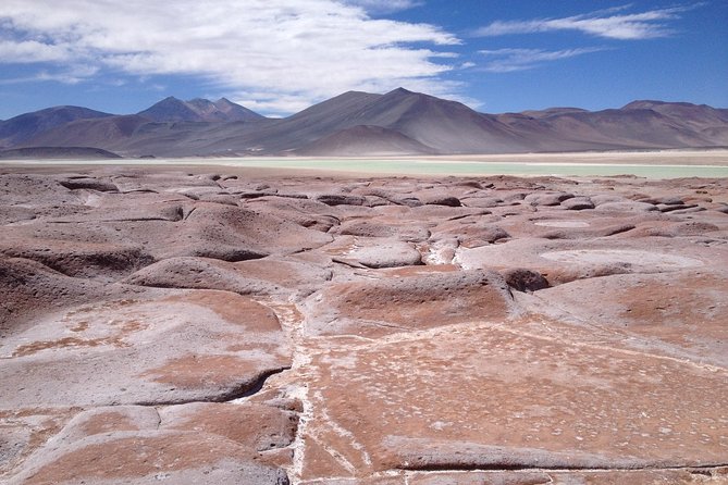 Private Expeditions Laguna Lejía and Geyser Solitario - The 7 to 8 Hour Schedule: Pickup Timing and How the Day Flows