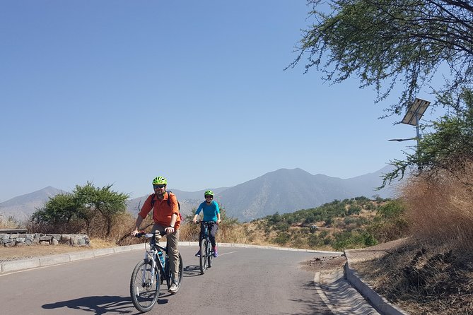 Private Full-Day Bike Tour of Santiago Cultural 5-6 hrs - Mercado Central, Fine Arts museum time, and the Bellas Artes option