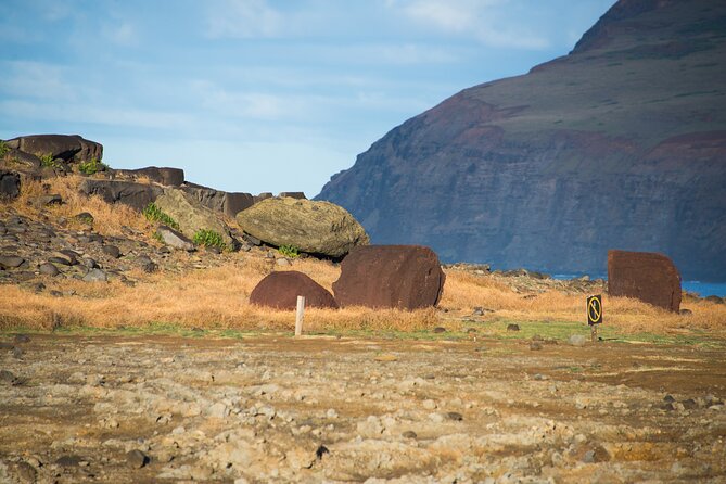 Private Full-Day Easter Island Highlights South and East - Hotel pickup, comfort, and the value of private service