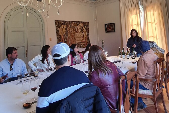 Private Full Day Tour of Viñas Tarapacá and Santa Ema Isla de Maipo - Isla de Maipo, done in a smart order
