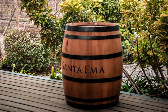 Private Full Day Tour of Viñas Tarapacá and Santa Ema Isla de Maipo - Stop 3 at Viña Santa Ema: wine management, vat room views, and a cheese-board tasting