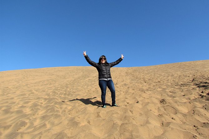 Private Full Day Tour to Concón Viña del Mar and Valparaiso + 1 Activity - Roca Oceanica plus beach drives along the coast