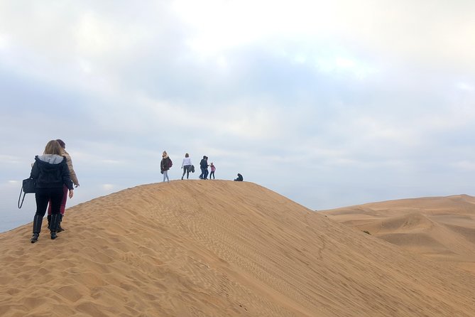 Private Full Day Tour to Concón Viña del Mar and Valparaiso + 1 Activity - Cerro Concepción: short walking circuit, big atmosphere