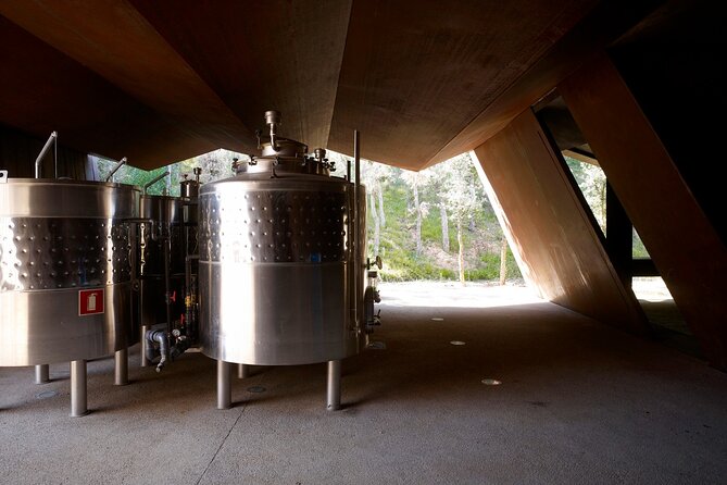 Private Full Day Tour to VIK Winery with Gourmet Lunch - Wine tasting at VIK: how to get more out of the pours