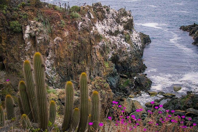 Private Garden Tour in Central Coast of Chile with Lunch included - Key highlights you will feel during the day