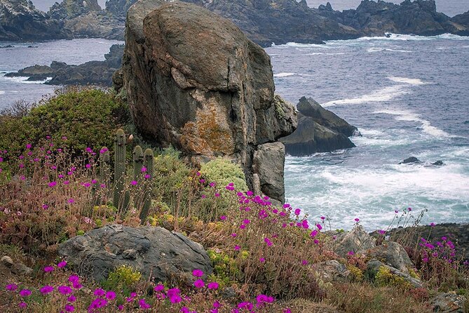 Private Garden Tour in Central Coast of Chile with Lunch included - Puquén blowhole, sea lions at the Lobera, and why this reserve matters