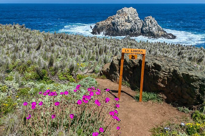 Private Garden Tour in Central Coast of Chile with Lunch included - Isla Cachagua: a coastal bird trail with penguins and a 300-feet-away viewpoint
