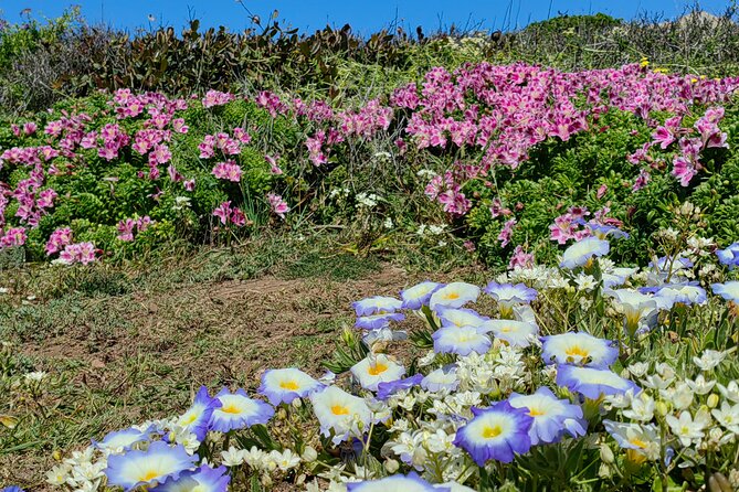 Private Garden Tour in Central Coast of Chile with Lunch included - Price and value: is $220 per person a good deal?
