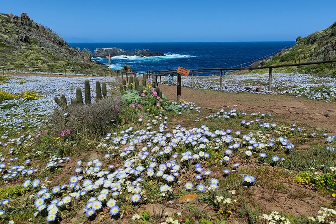 Private Garden Tour in Central Coast of Chile with Lunch included - The guided walk in Bioparque Los Molles: what to expect and what can slow you down