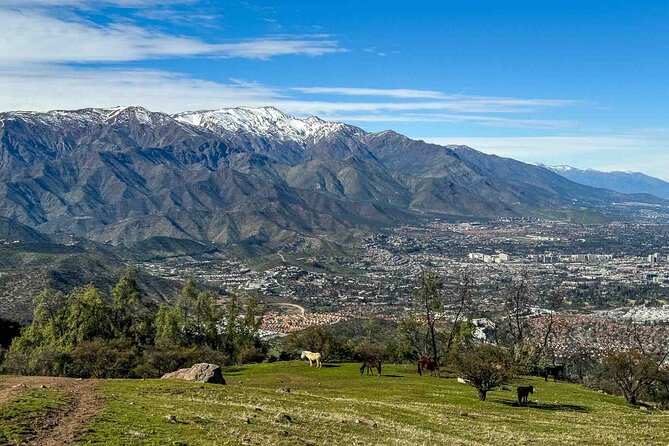Private Half-Day Andes Hiking Experience from Santiago - Getting from Santiago to the trail: pickup, timing, and where you meet