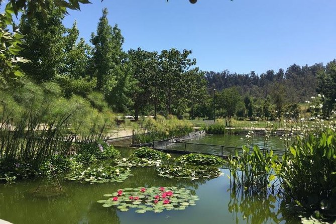 Private Half Day Tour in Santiago - Price and logistics: what you’re really buying for $90