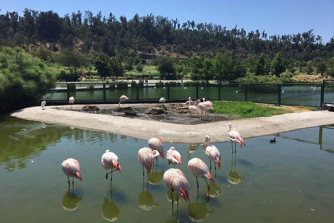 Private Half Day Tour in Santiago - How the 4-hour route is organized, from parks to Plaza de Armas