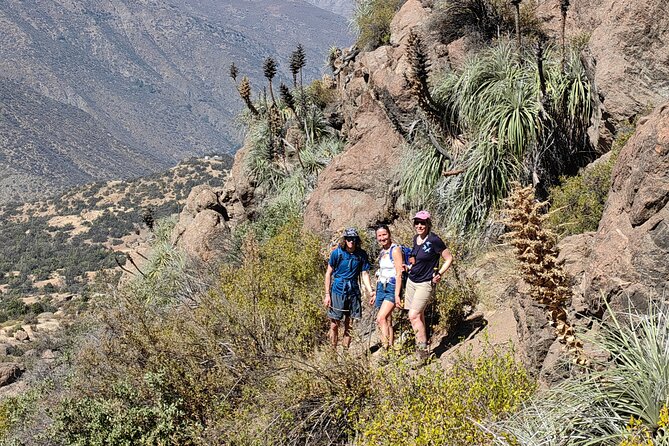 Private Hiking Experience to El Manzano Caves - The moment the trail gets more challenging, and how scrambling fits in