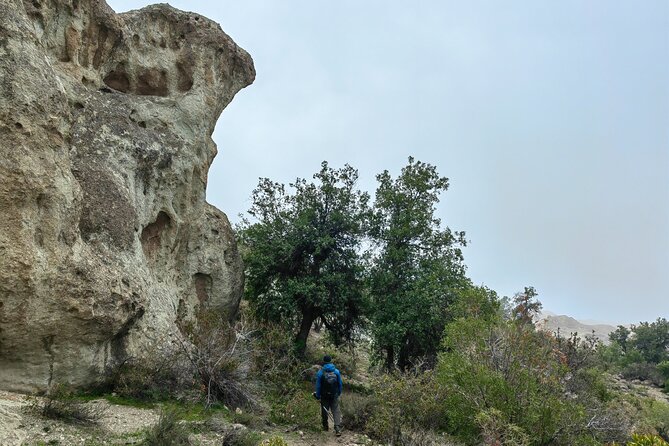 Private Hiking Experience to El Manzano Caves - Descent back to the farm: keep it steady, not fast