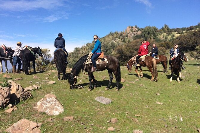 Private Horse Riding with Cheese and Wine in the Andes - The 1.5-hour descent: smooth riding, changing views, and staying steady