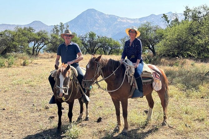 Private Horse Riding with Cheese and Wine in the Andes - Timing that actually helps: what the morning feels like start to finish