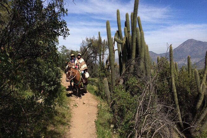 Private Horse Riding with Cheese and Wine in the Andes - What to wear and how to prepare for trail riding