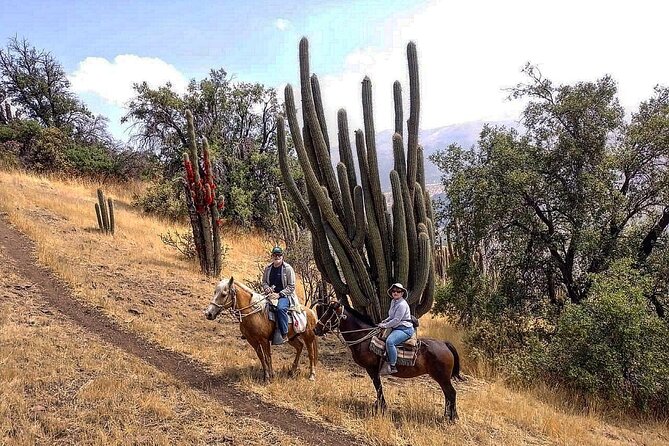 Private Horse Riding with Cheese and Wine in the Andes - Lookout break and arriero culture: the pause that makes the ride stick