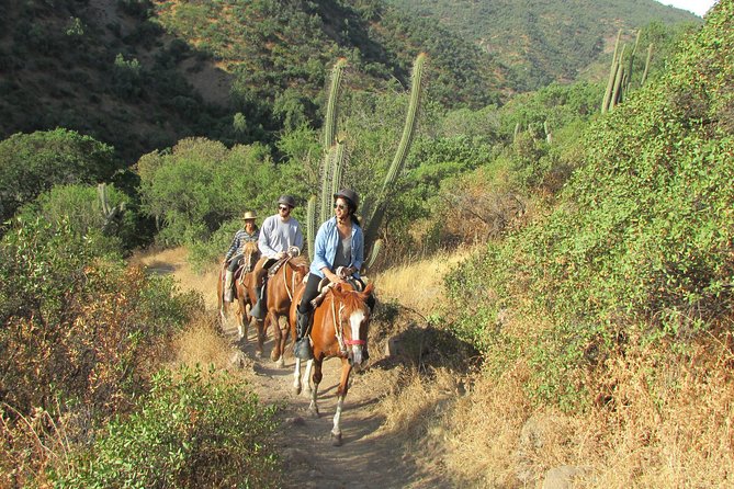 Private Horseback Adventure in the Andes, with Picnic & Wine - Leaving Santiago behind, the easy way