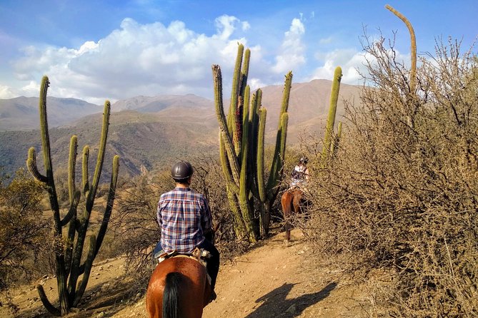 Private Horseback Adventure in the Andes, with Picnic & Wine - Private tour benefits: your group, your pace, your photos