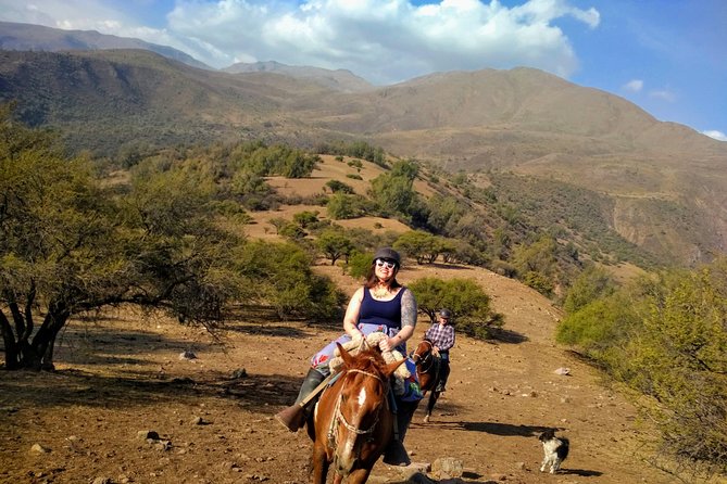 Private Horseback Adventure in the Andes, with Picnic & Wine - Price and value: is $278.90 per person worth it?