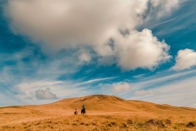 Private Horseback Riding on Easter Island - A small private ride up to Maunga Terevaka