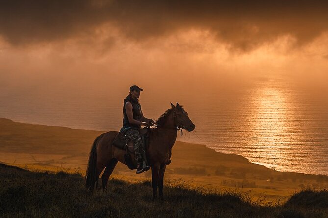 Private Horseback Riding on Easter Island - Your guide and the island context you actually get
