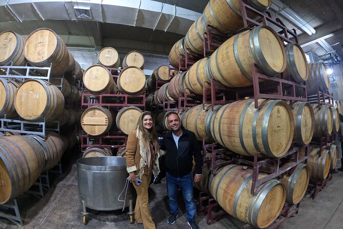 Private Maipo Valley Wine Experience: 2 Premium Wineries & Lunch - Aquitania Vineyard: the boutique start with a cellar visit and four tastings