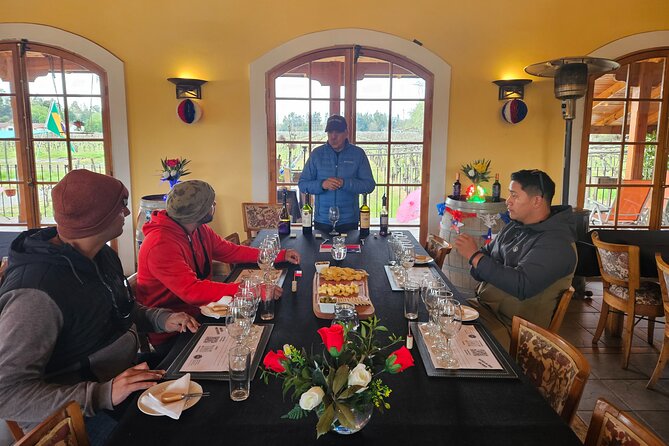 Private Maipo Valley Wine Experience: 2 Premium Wineries & Lunch - Santa Rita Winery in Alto Jahuel, plus Museo Andino