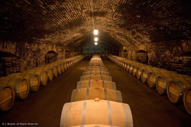Private Maipo Valley Wine Experience: 2 Premium Wineries & Lunch - Stop 1 in Santiago and the optional Bahá’í Temple moment