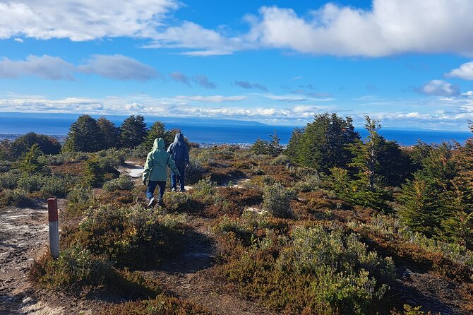 Private Patagonian Forest Hike in Punta Arenas: 4 Hour - Key highlights to know before you go
