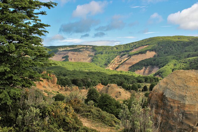 Private Patagonian Forest Hike in Punta Arenas: 8 Hour - Punta Arenas lunch stop: why it feels like part of the trip