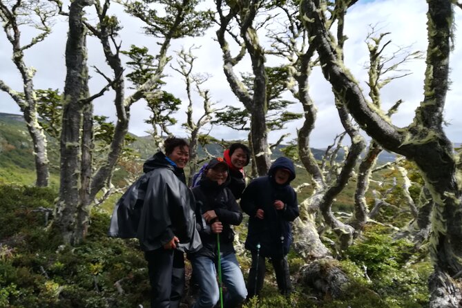 Private Patagonian Forest Hike in Punta Arenas: 8 Hour - What makes this tour feel worth $350